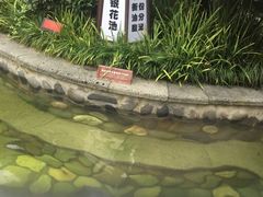 -杭州第一世界大酒店·云曼温泉
