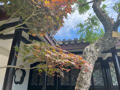 -无锡蠡湖国家湿地公园-蠡园