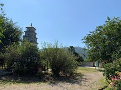 -亚龙湾国际玫瑰谷