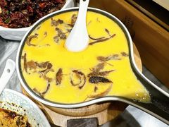 油鸡枞蒸水蛋-蔼若春.传承云南菜(金碧公园店)