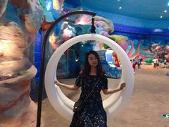 -青岛嘉年华主题乐园