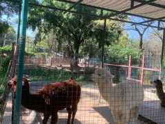 -广东花都香草世界旅游度假区