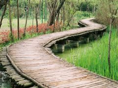 -西溪国家湿地公园