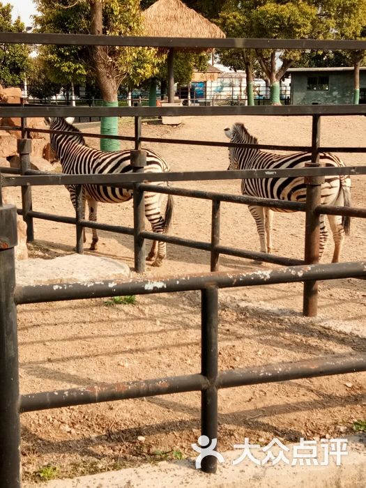 淮安市生態動物園圖片 - 第43張