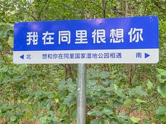 -同里国家湿地公园