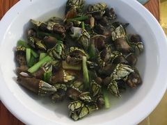 -胖大嫂渔家排档·全海景餐厅(渔村店)