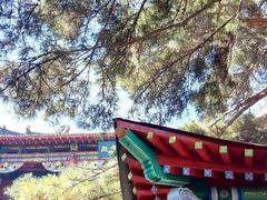 android_upload_pic-北山公园