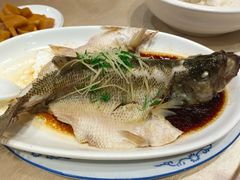 -南宁肥仔饭店(江南店)
