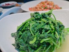 清炒地瓜叶-凤凰湘语·海派湘菜(浦东旗舰店)