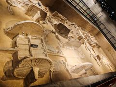 -洛阳周王城天子驾六博物馆