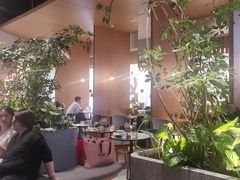 -gaga(深圳福田星河COCO Park店)