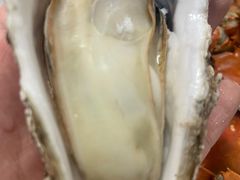 -杨氏青龙虾·羊蝎子(金盛路总店)
