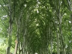 -河南省黄河迎宾馆