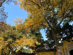 -灵岩山风景区