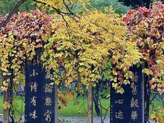 -碑林公园