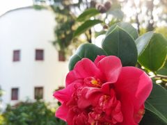 -福建博物院