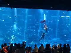 -新加坡海洋生态馆