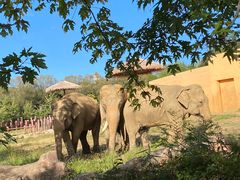 -沈阳森林动物园