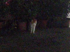 -凯乐会量贩KTV(国防大厦总店)