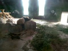 -临沂动植物园