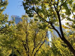 -长春公园(普阳街道)