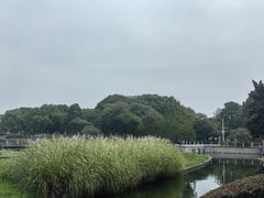 -蠡湖中央公园