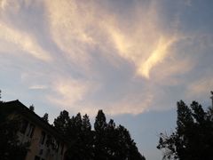 环境-浙江大学(玉泉校区)