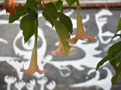 -赤坎古镇影视城