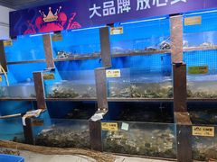 -蟹小姐节气生鲜·年货(高新店)