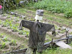 -会稽山峡洞漂流-上青古道