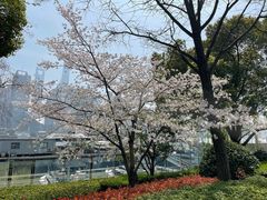 -北外滩滨江绿地