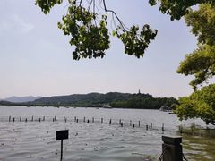 -湖畔居茶楼(湖滨店)