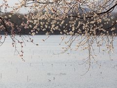 -颐和园