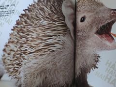 -星巴克(汕尾信利城市广场店)