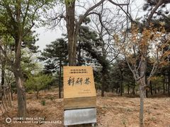 -北京西山国家森林公园