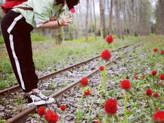 -合肥滨湖国家森林公园