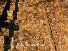 -上海佘山国家森林公园天马山园