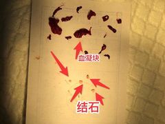 -芭比堂动物医院·24小时·眼科中心(深圳中心)