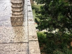 -赵州桥景区