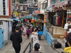 -猫咪博物馆(顶澳仔猫街店)