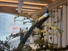 -和子足浴SPA会馆(竹山路店)