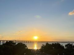 -宝安西湾红树林湿地公园