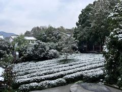 -杭州花家山庄