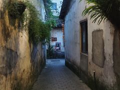 -鹅滋道(甘坑古镇店)