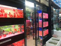 -武汉花鸟市场