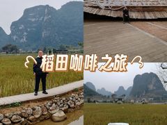 -明仕田园