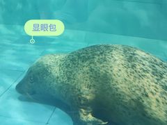-左海海底世界