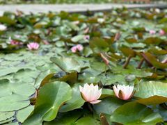 -白马涧龙池景区