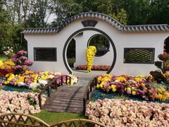 -上海共青森林公园