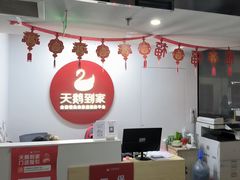 -天鹅到家·保姆月嫂育儿嫂(南开店)